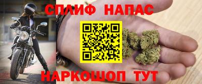 стаф Бугуруслан
