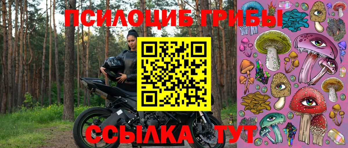Юрга  Псилоцибиновые грибы MAGIC MUSHROOMS  Вход с VPN  Галлюциногенные грибы мицелий 
