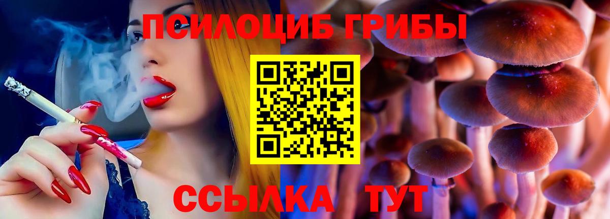 Псилоцибиновые грибы мицелий Юрга